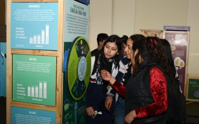 Exposiciones itinerantes para la sensibilización en temas de ciencia y tecnología